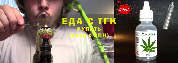 гидра Богородицк
