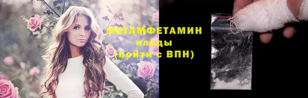 гидра Богородицк