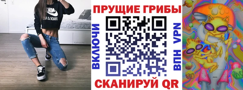 Купить где Будённовск Псилоцибиновые грибы Psilocybine cubensis
